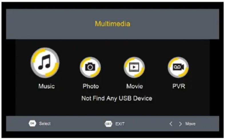 Laser STB-7000 - MULITMEDIA PLAYBACK - 1