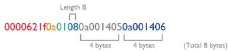 Length B 0000621f0a01080a0014050a001406 4 bytes 4 bytes (Total 8 bytes)