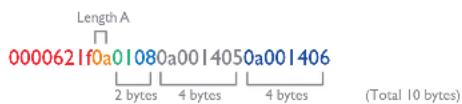 Length A 0000621f0a01080a0014050a001406 2 bytes 4 bytes 4 bytes (Total 10 bytes)