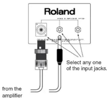 Roland Select any one of the input jacks. from the amplifier