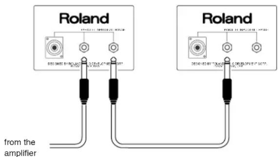 Roland from the amplifier