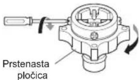 Ring plate
