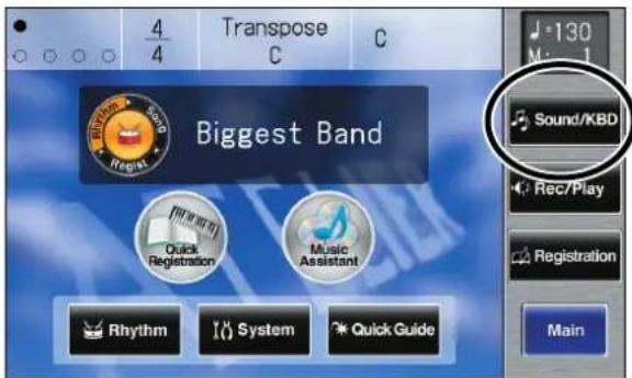 ROLAND Music Atelier AT-900 - Touch  on the Main screen. - 1