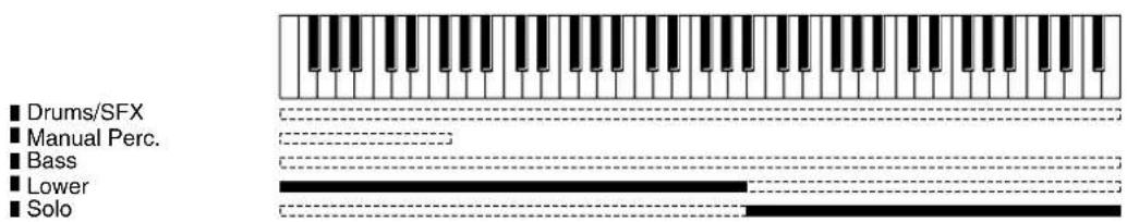 ROLAND Music Atelier AT-900 - Using the Lower Keyboard to Play the Solo Voice - 1