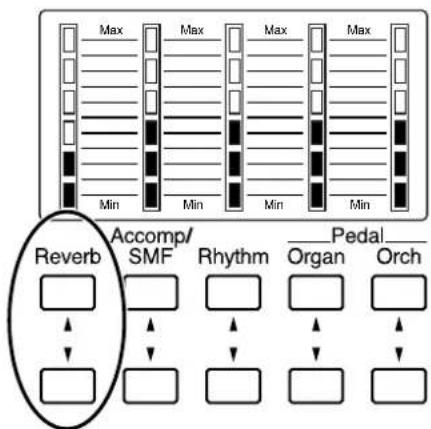 ROLAND Music Atelier AT-900 - Adding Reverberation to the Sound (Reverb Effect) - 1