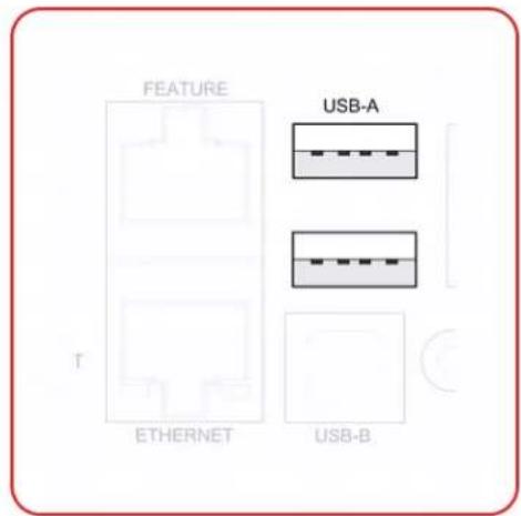 FEATURE T ETHERNET USB-A USB-B