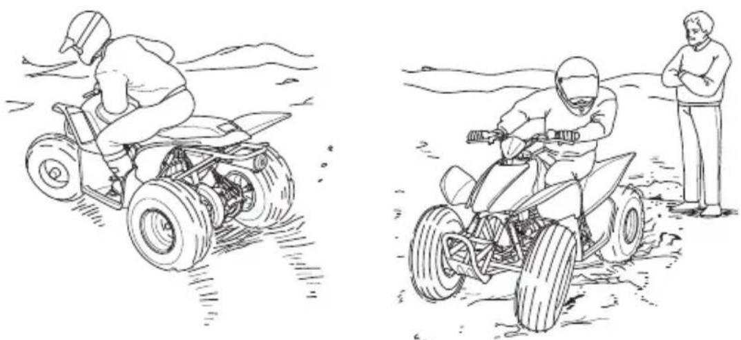 Honda TRX90X (2017) - WARNING - 1