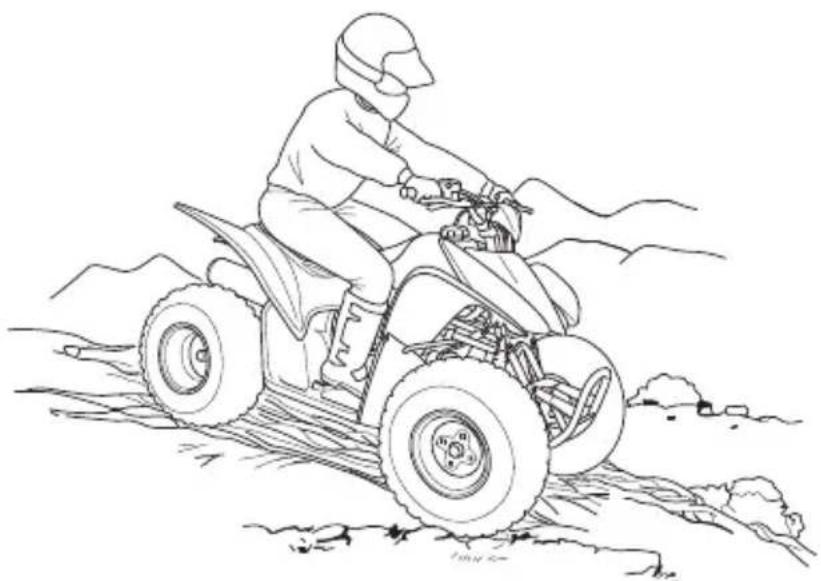 Honda TRX90X (2017) - WARNING - 1