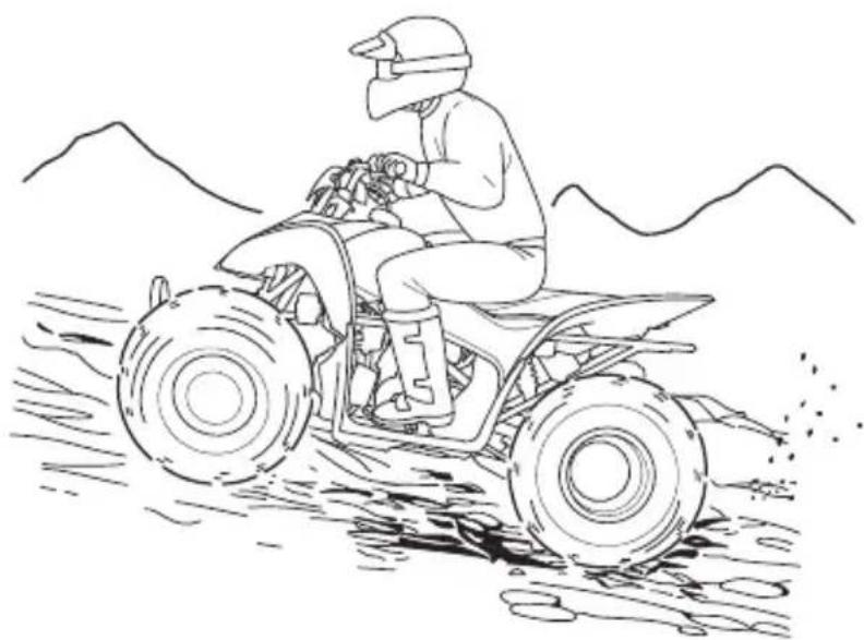 Honda TRX90X (2017) - WARNING - 1