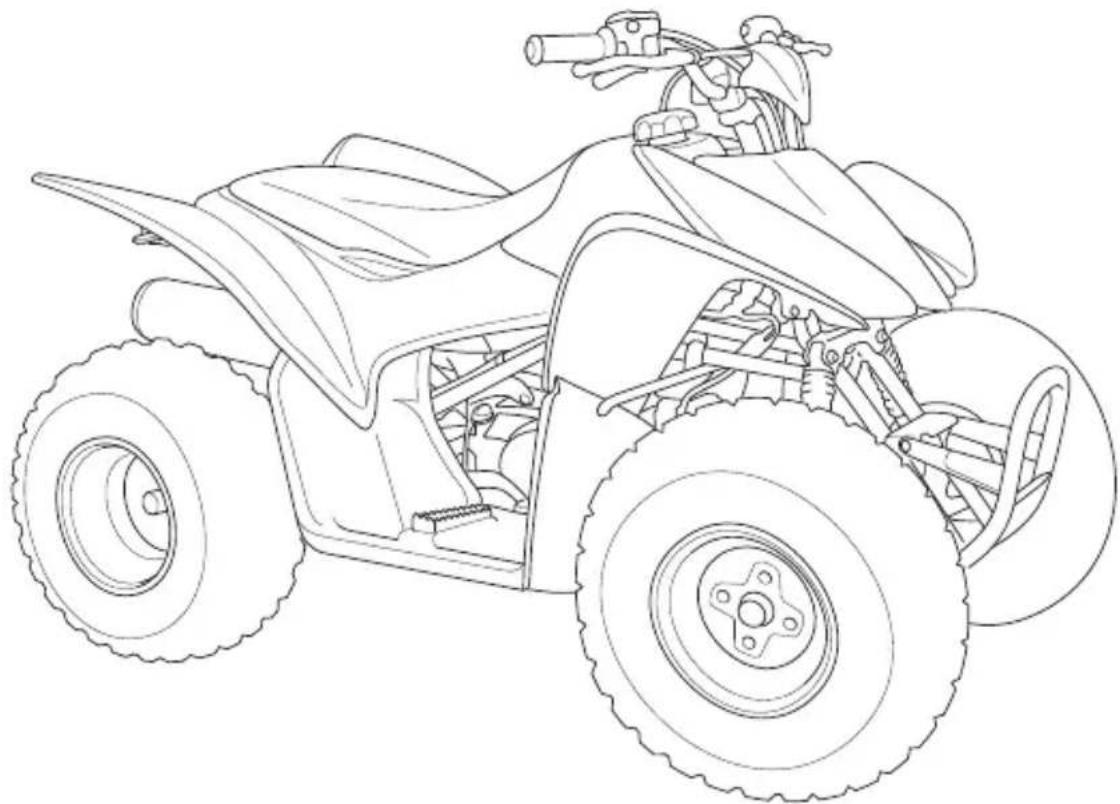 Honda TRX90X (2017) - Quick Reference - 1