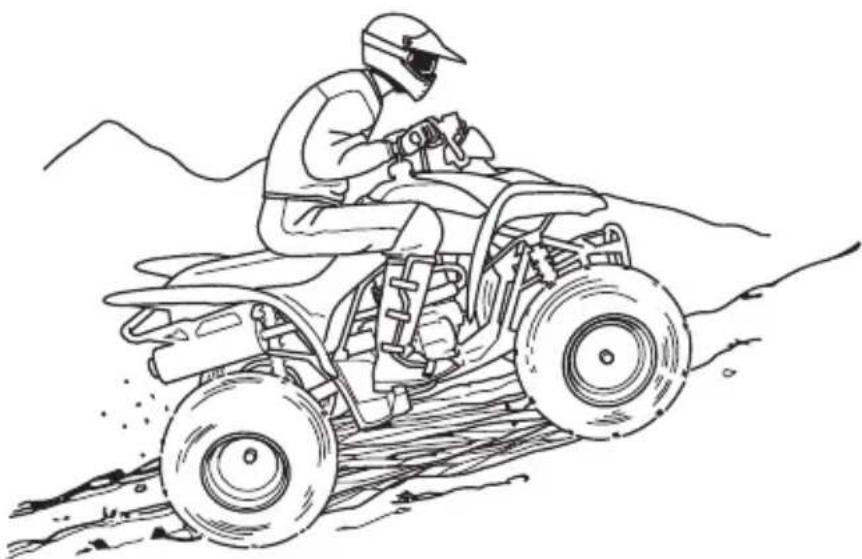 Honda TRX250X (2014) - WARNING - 1