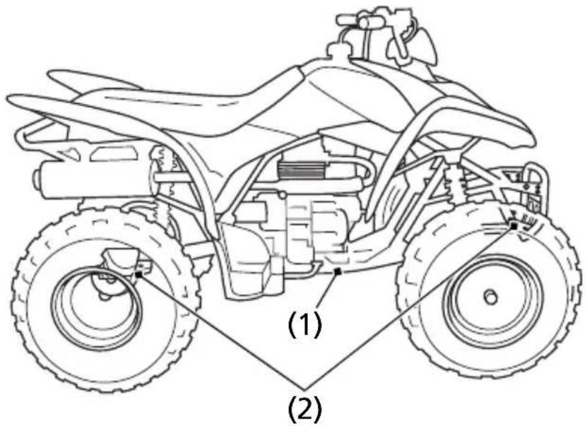 Honda TRX250X (2014) - Engine Guard & Skid Plates - 1