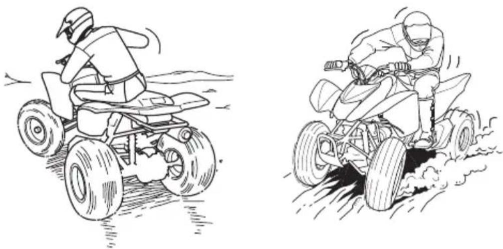 Honda TRX250X (2014) - WARNING - 1