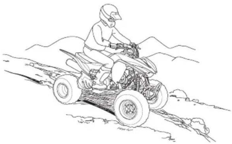 Honda TRX400X (2014) - WARNING - 1