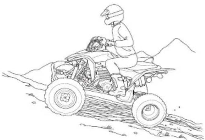Honda TRX400X (2014) - WARNING - 1