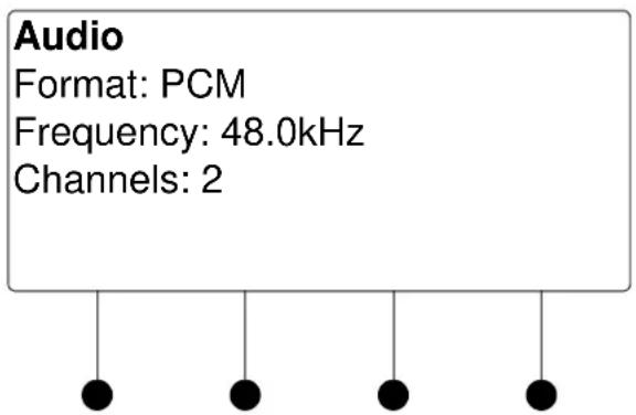 Audio Format: PCM Frequency: 48.0kHz Channels: 2