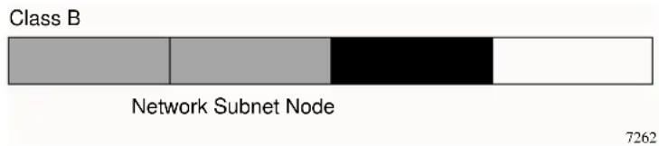 Class B Network Subnet Node 7262