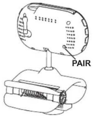 PAIR