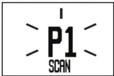 I P1 SCAN