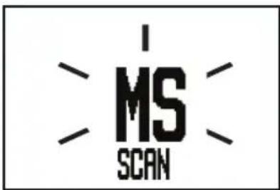 I MS SCAN