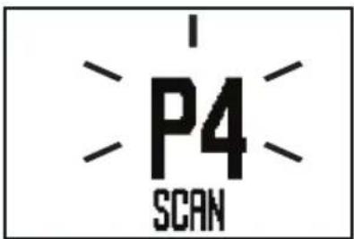 P4 SCAN
