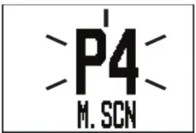 P4 M. SCN