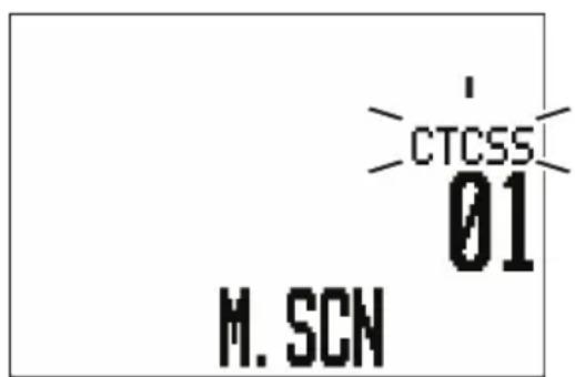 CTCSS 01 M. SCN