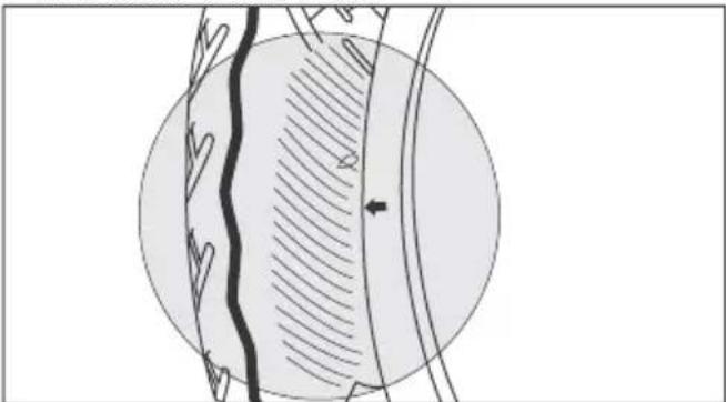 HERO Destini 125 (2018) - Inspection - 2