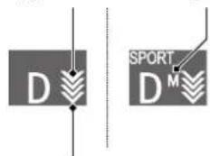 D SPORT D^M