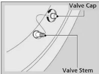 Valve Cap Valve Stem