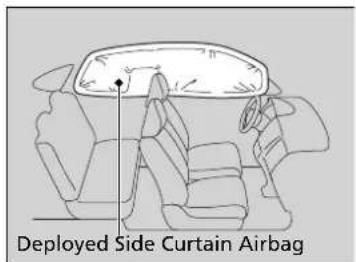 Deployed Side Curtain Airbag
