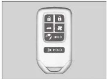 HOLD HOLD