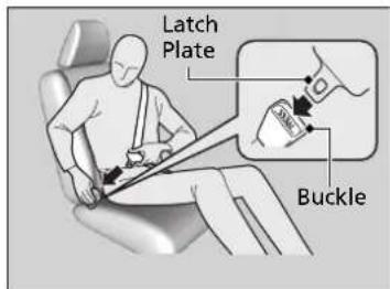 Latch Plate Buckle