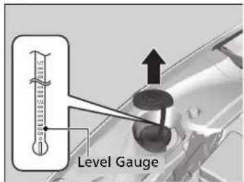 Level Gauge