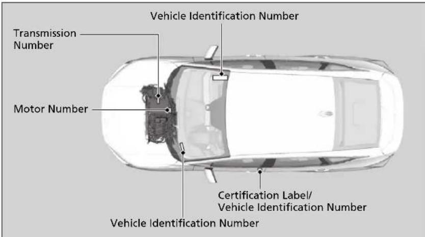 Transmission Number Motor Number Vehicle Identification Number Certification Label/ Vehicle Identification Number Vehicle Identification Number