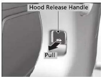 Hood Release Handle Pull