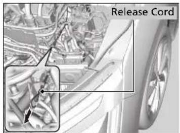 Release Cord