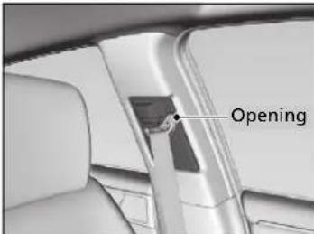 Opening