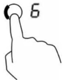 6