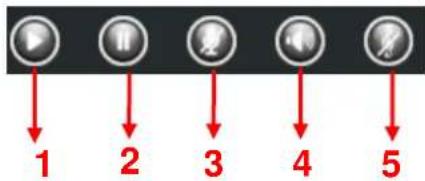 FOSCAM QJ2 - Section7 Play / Stop / Talk / Audio / Snap / Record / Full screen button - 1