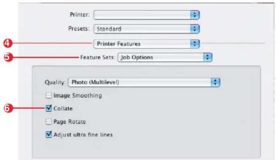Printer: Presets: Standard Printer Features Feature Sets: Job Options Quality: Photo (Multilevel) Image Smoothing Collate Page Rotate Adjust ultra fine lines