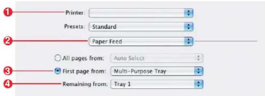 Printer: Presets: Standard Paper Feed All pages from: Auto Select First page from: Multi-Purpose Tray Remaining from: Tray 1