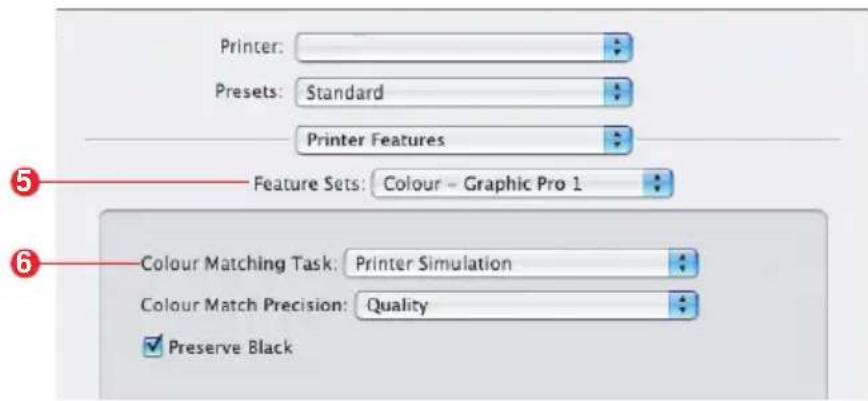 Printer: Presets: Standard Printer Features Feature Sets: Colour - Graphic Pro 1 Colour Matching Task: Printer Simulation Colour Match Precision: Quality ✓ Preserve Black