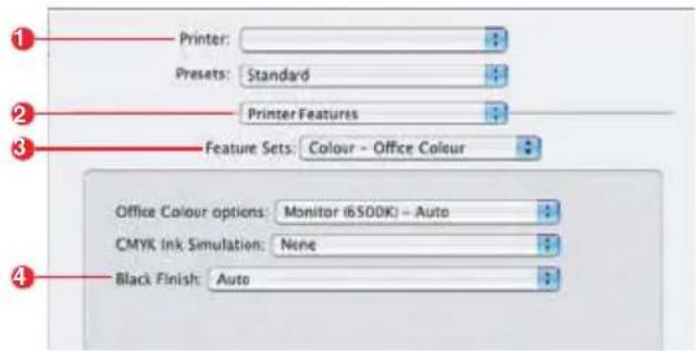 Printer: Presets: Standard Printer Features Feature Sets: Colour - Office Colour Office Colour options: Monitor i6500K - Auto CMYK Ink Simulation: None Black Finish: Auto