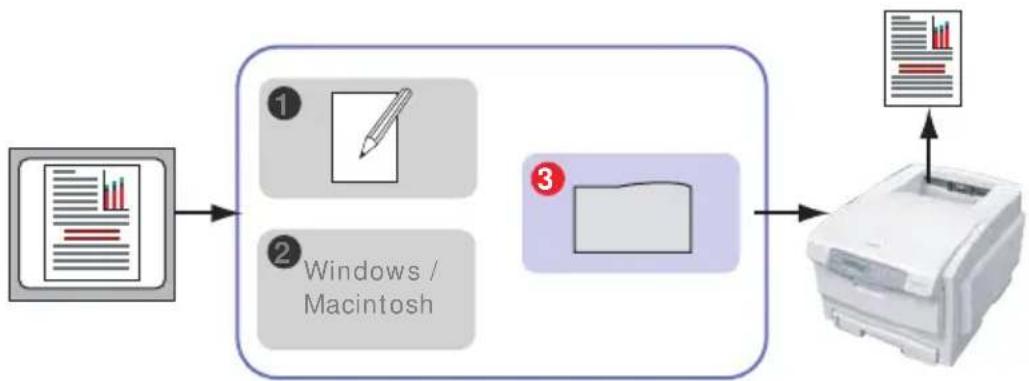 OLIVETTI d-Color P20W - WHAT THIS GUIDE DESCRIBES - 1