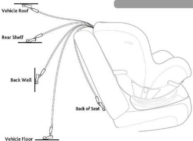 Vehicle Roof Rear Shelf Back Wall Back of Seat Vehicle Floor
