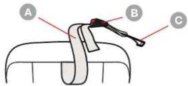 A B C