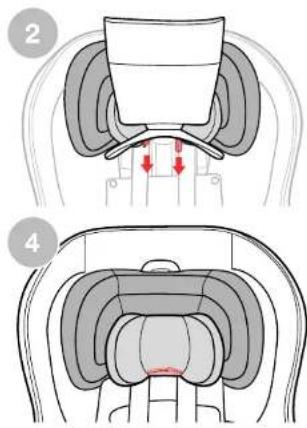 Medical diagram showing anatomical views of a seated car with red arrows indicating specific regions or pathways.