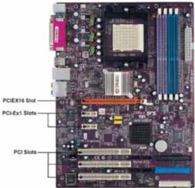 PCIEX16 Slot PCI-Ex1 Slots PCI Slots