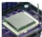 ECS 661GX/800-M - CPU Installation Procedure - 1